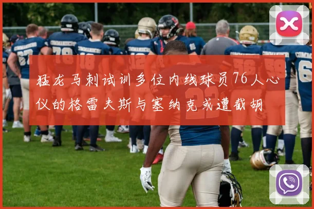 猛龙马刺试训多位内线球员76人心仪的格雷夫斯与塞纳克或遭截胡
