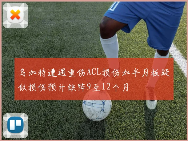 乌加特遭遇重伤ACL损伤加半月板疑似损伤预计缺阵9至12个月