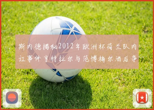 斯内德揭秘2012年欧洲杯荷兰队内讧事件亨特拉尔与范博梅尔酒后争执内幕